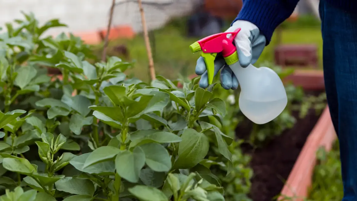 Control Garden Pests Naturally: Eco-Friendly Solutions