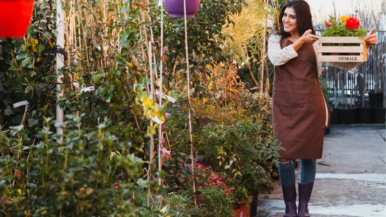 Functional and Ornamental Balance in Garden Design