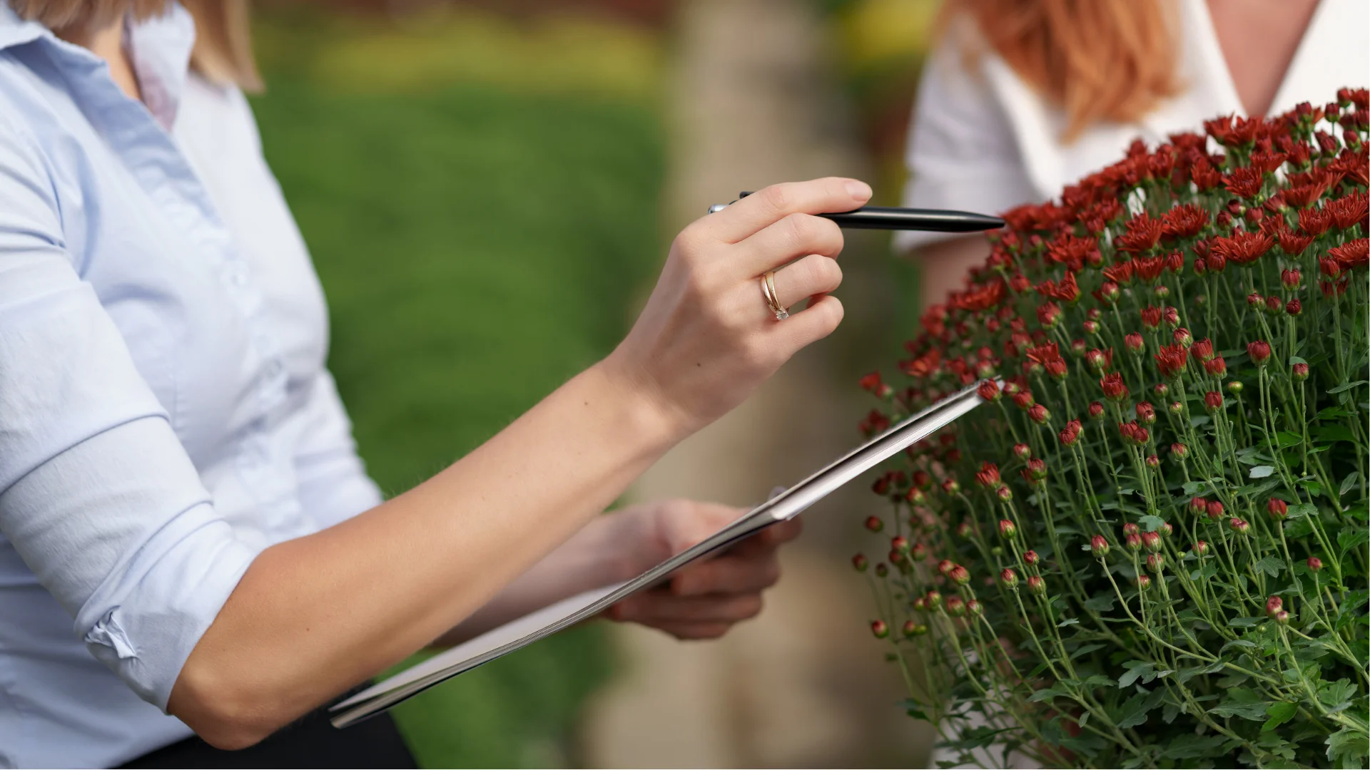 garden guide homenumental