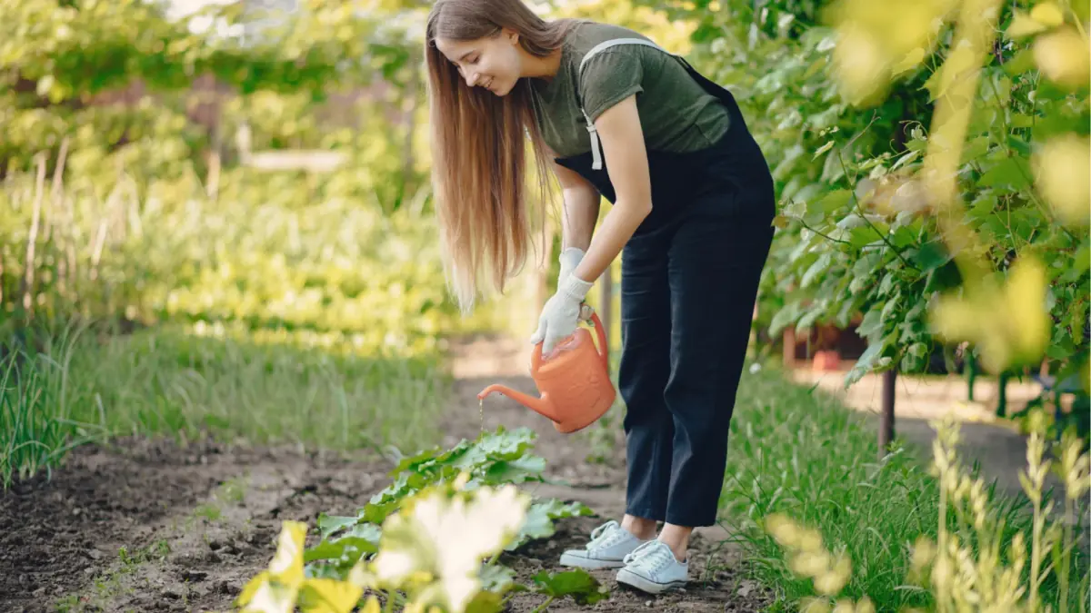 Watering Plants: Simple Guide for Healthy Growth