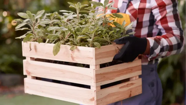 Wooden Planter Box DIY: Easy Build for Your Home Garden